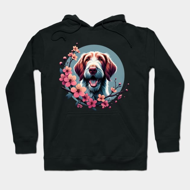 Spinone Italiano Delights in Spring Cherry Blossoms Hoodie by ArtRUs